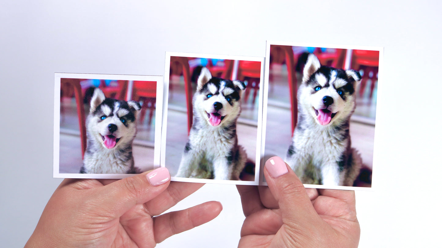 Custom Photo Magnets